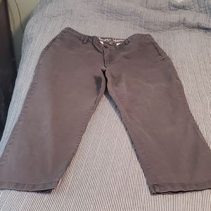 Eddie Bauer Curvy Crop Pants